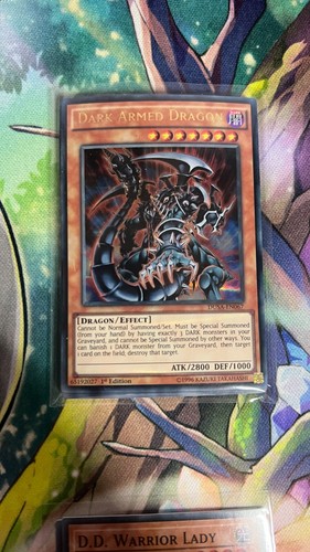 Dark armed dragon - dragon, dusa-en067
