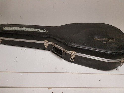 Custodia chitarra acustica - custodia,