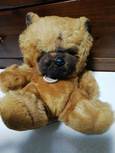 Peluche san chow - chow,