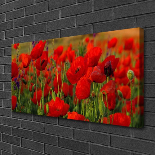 Moderni astratti 100x50 quadro - astratti,