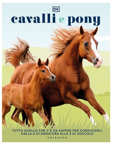 Cavalli pony ediz - e, pony.