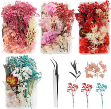 4 Scatole Mini Fiori Secchi