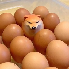 Figura di cucciolo a forma di
