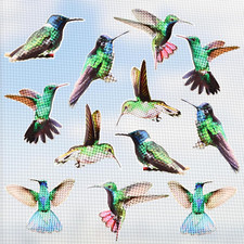 12 Pezzi Magneti per Zanzariere, Adesivi per Zanzariera Adesivo Magnetico Bifacc