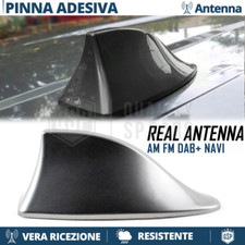 Antenna pinna squalo grigia - squalo,