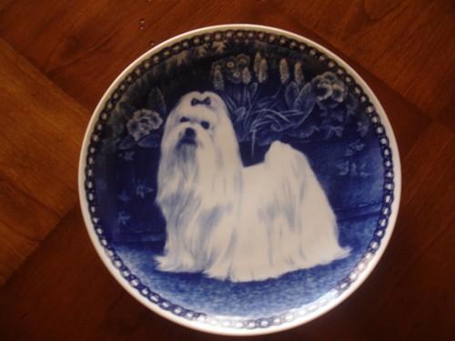Piatto cane maltese design