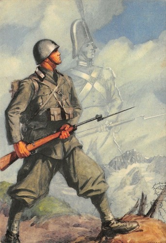 C8067 arma dei - arma, carabinieri