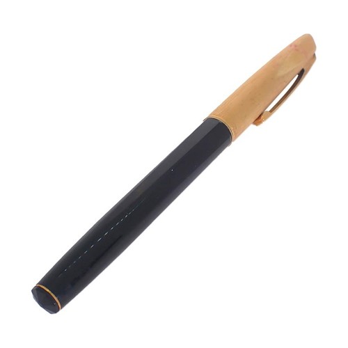 Penna stilografica waterman - penna,