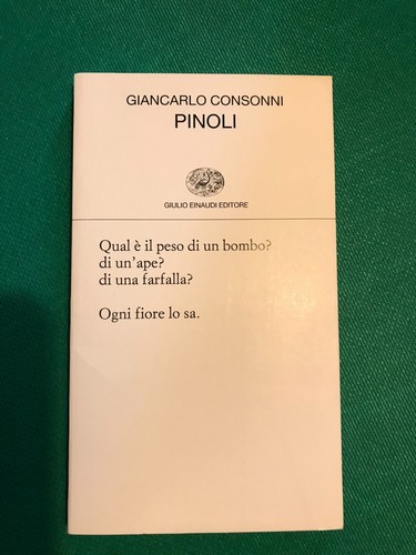 Giancarlo consonni pinoli - giancarlo,
