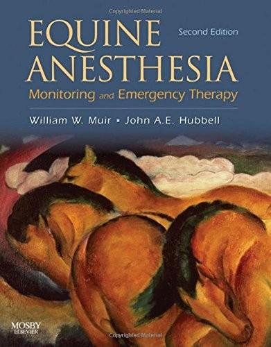 Equine anesthesia monitoring - equine,