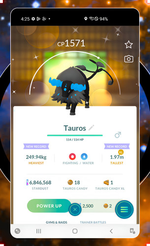 Shiny paldean tauros - shiny,