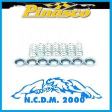 KIT MOLLE FRIZIONE PINASCO