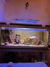 Acquario Aquatlantis 200 litri