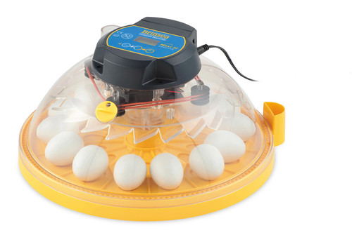 Maxi incubatrice completamente