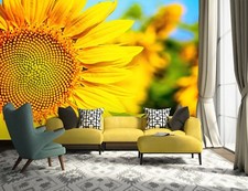 Carta da parati 3D bellissimo