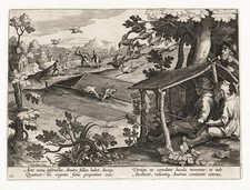 Caccia Alle Anatre Stradanus