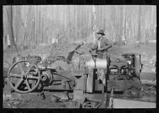 Foto 8" x 10" 1941 Foto Asino punzone alle operazioni di disboscamento gyppo, Tillamook