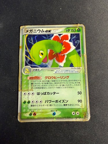 Meganium 003 016 1st - meganium,