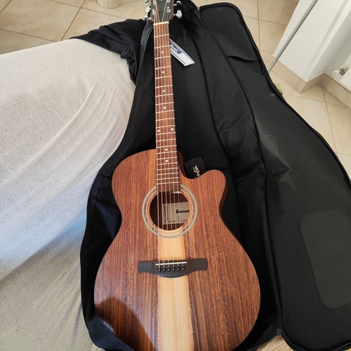 Chitarra elettroacustica - chitarra,