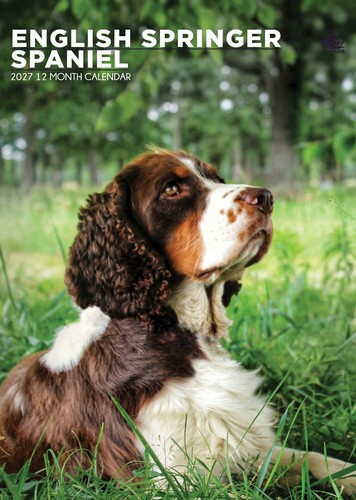 Calendario inglese springer - calendario,