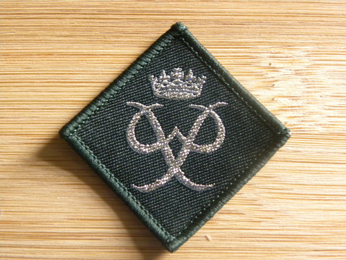 Current scouting duke of - current,