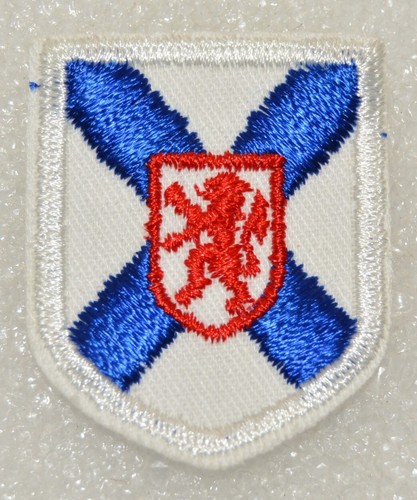 Distintivo uniforme boy scout