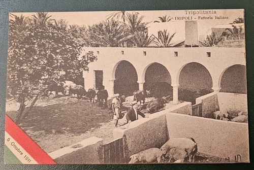 Tripoli fattoria italiana - fattoria,