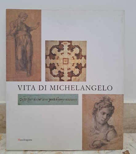 Vita michelangelo - di,