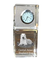 Cane da pastore dell'Asia