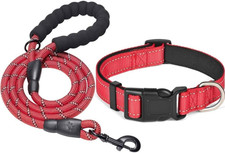 Set Collare E Guinzaglio