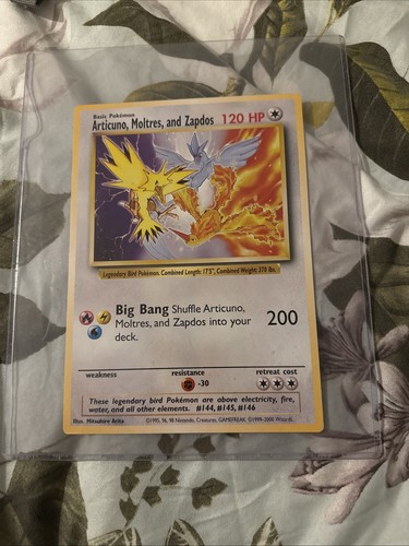 Pokémon jumbo articuno - pokémon,