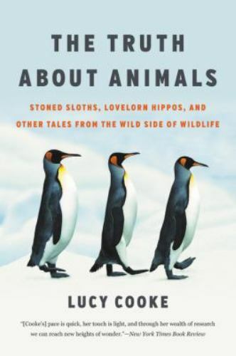 Truth about animals stoned - animals, :