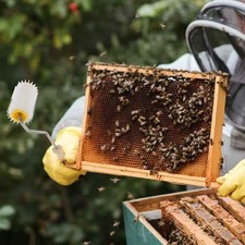 2 Pcs Smielatore Manuale