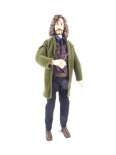 Harry potter personaggio - harry,