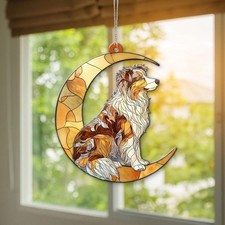 **Pastore australiano