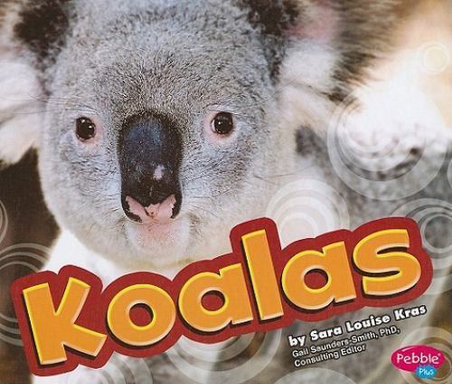 Koalas by - koalas,