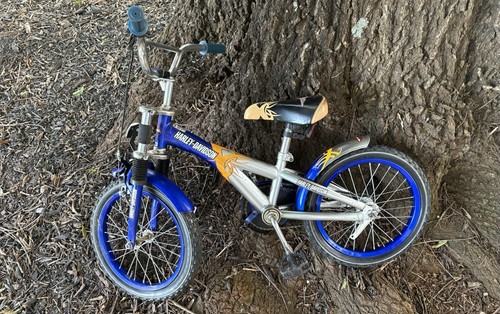 Rara bicicletta per bambini