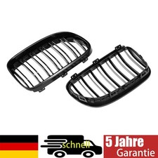 Griglia renale doppio ponte