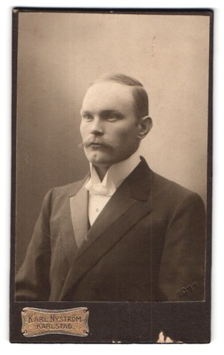 Fotografie karl nyström - fotografie,