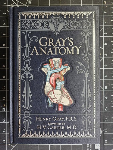 Gray s anatomy - 🧠,