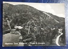 FORESTA CAMPIGNA ( FORLÌ-CESENA) App. Tosco Romagnolo , Vg Anni 50/60 F.g.