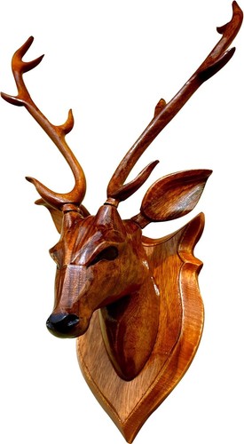 Testa cervo legno per - testa,
