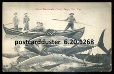 Cartolina GASPE Quebec 1912