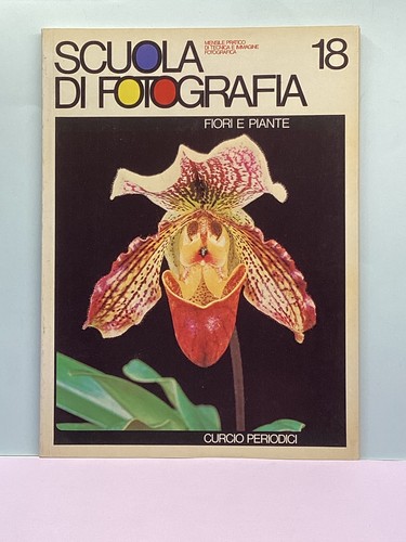 Scuola fotografia 18 - scuola,