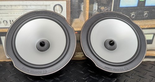 Woofer altoparlanti monitor - woofer/altoparlanti,