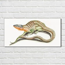 Acrylglasbild Wandbild