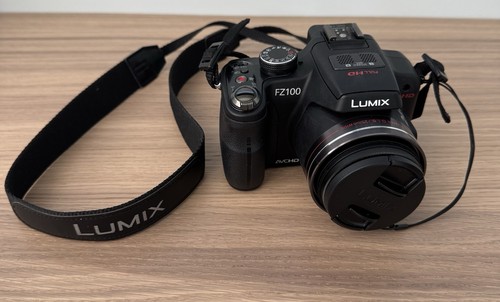 Panasonic lumix dmc fz100 - panasonic, dmc-fz100