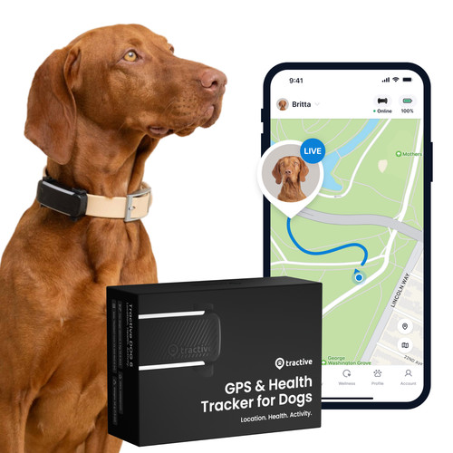 Tractive dog gps collare - 6,