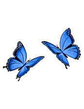 6 adesivi auto 18 x 18 cm