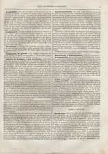 1853-GALLIPOLI-PUGLIA-TERRA DI OTRANTO-CIRELLI-IL REGNO DELLE DUE SICILIE-RARO !